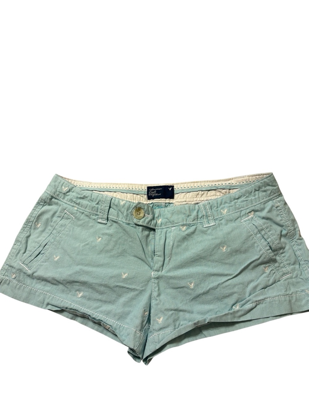 American Eagle Outfitters Mint Embroidered Jean Shorts